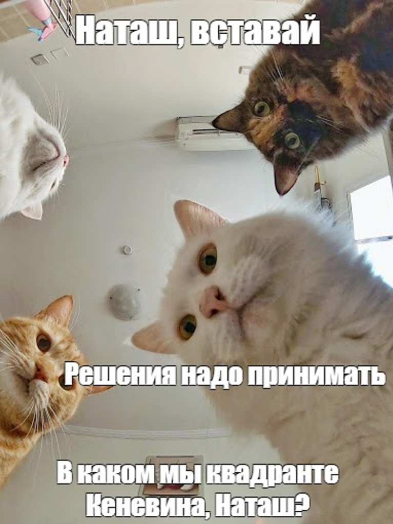 Работаем с неопределенностью: кратко о системе Cynefin (Кеневин) Framework