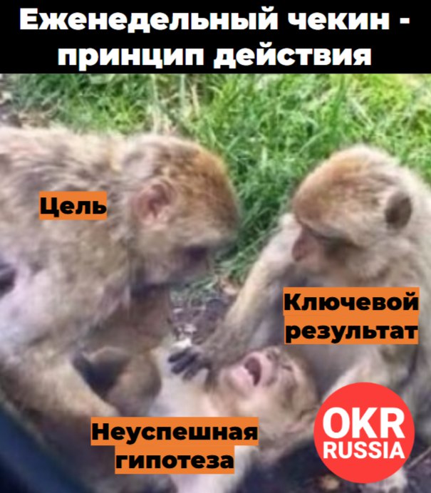 photo_2026-03-18_07-59-59